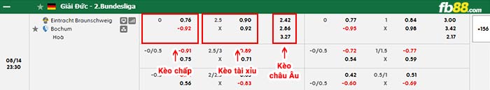 fb88-bảng kèo trận đấu Braunschweig vs Bochum