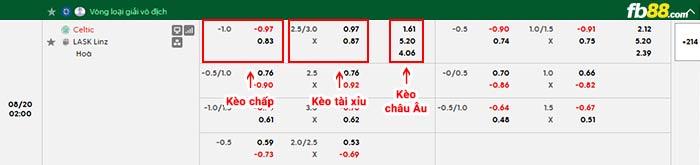 fb88-bảng kèo trận đấu Celtic vs LASK
