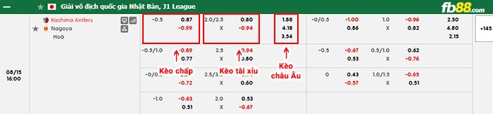 fb88-bảng kèo trận đấu Kashima Antlers vs Nagoya Grampus