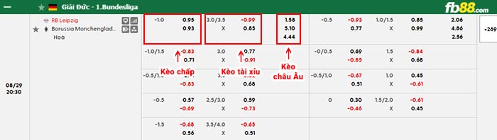 fb88-bảng kèo trận đấu Leipzig vs Monchengladbach