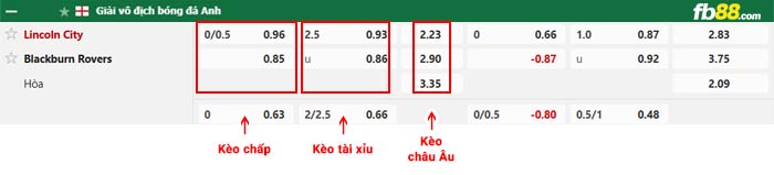 fb88-bảng kèo trận đấu Lincoln City vs Blackburn