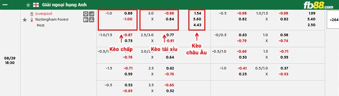 fb88-bảng kèo trận đấu Liverpool vs Nottingham