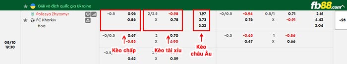 fb88-bảng kèo trận đấu Polissya Zhytomyr vs Kharkiv