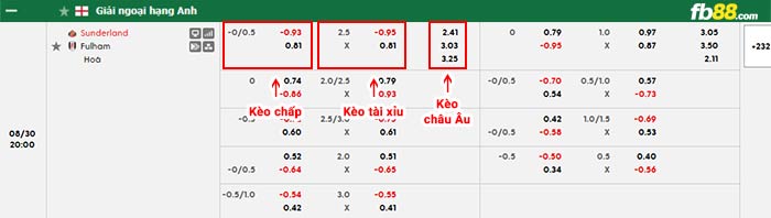 fb88-bảng kèo trận đấu Sunderland vs Fulham