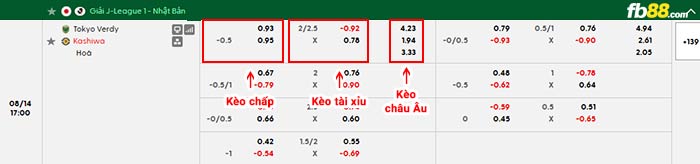 fb88-bảng kèo trận đấu Tokyo Verdy vs Kashiwa Reysol