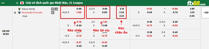 fb88-bảng kèo trận đấu Tokyo Verdy vs Kawasaki Frontale