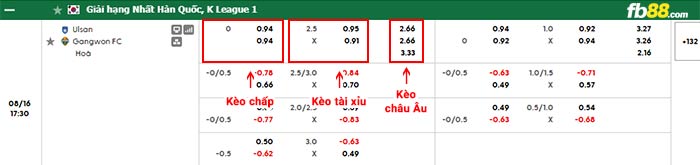 fb88-bảng kèo trận đấu Ulsan vs Gangwon