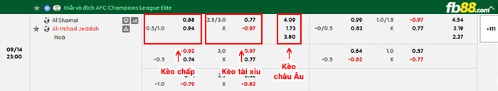 fb88-bảng kèo trận đấu Al Shamal vs Al Ittihad
