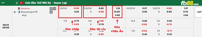 fb88-bảng kèo trận đấu Besiktas vs Erzurumspor