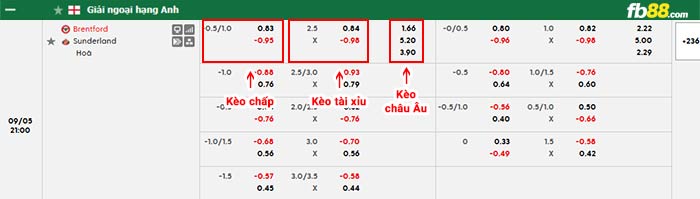 fb88-bảng kèo trận đấu Brentford vs Sunderland