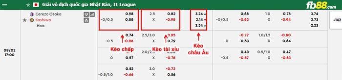 fb88-bảng kèo trận đấu Cerezo Osaka vs Kashiwa Reysol
