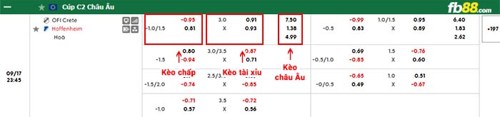 fb88-bảng kèo trận đấu Crete vs Hoffenheim