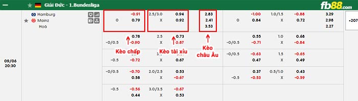 fb88-bảng kèo trận đấu Hamburger vs Mainz