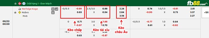 fb88-bảng kèo trận đấu Koge vs Hobro