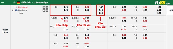 fb88-bảng kèo trận đấu Leipzig vs Hamburger
