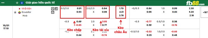 fb88-bảng kèo trận đấu Nhật Bản vs Ecuador