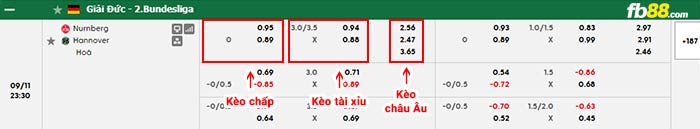 fb88-bảng kèo trận đấu Nurnberg vs Hannover