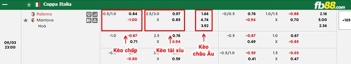 fb88-bảng kèo trận đấu Palermo vs Mantova