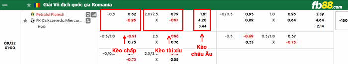 fb88-bảng kèo trận đấu Petrolul Ploiesti vs Csikszereda