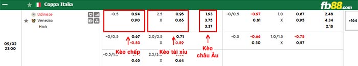 fb88-bảng kèo trận đấu Udinese vs Venezia