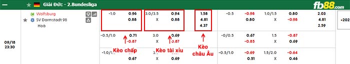 fb88-bảng kèo trận đấu Wolfsburg vs Darmstadt