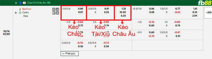 fb88-bang-keo-tran-dau-Benfica-vs-Celtic-16-10-2026
