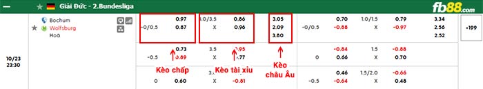 fb88-bảng kèo trận đấu Bochum vs Wolfsburg