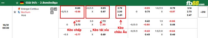 fb88-bảng kèo trận đấu Cottbus vs Bochum