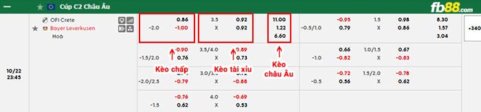 fb88-bảng kèo trận đấu Crete vs Leverkusen