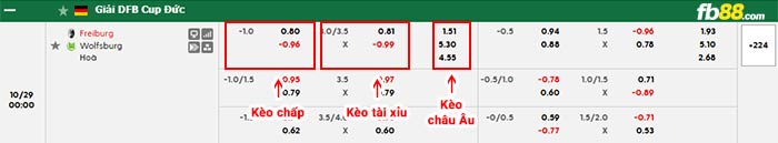 fb88-bảng kèo trận đấu Freiburg vs Wolfsburg