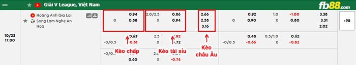 fb88-bảng kèo trận đấu HAGL vs SLNA