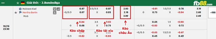 fb88-bảng kèo trận đấu Holstein Kiel vs Hertha BSC