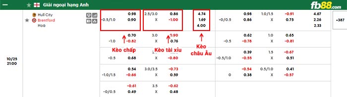 fb88-bảng kèo trận đấu Hull City vs Brentford