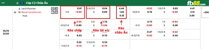 fb88-bảng kèo trận đấu Lech Poznan vs Leverkusen