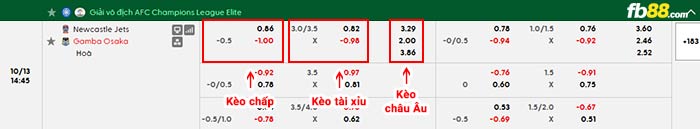 fb88-bảng kèo trận đấu Newcastle Jets vs Gamba Osaka