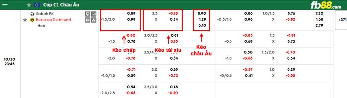 fb88-bảng kèo trận đấu Sabah Baku vs Dortmund