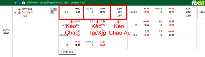 fb88-bang-keo-tran-dau-Wales-vs-Dan-Mach-05-10-2026